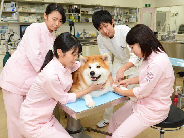 施設・設備のポイント 写真2