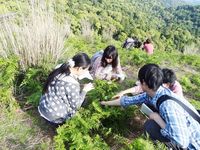 学部・学科・コース情報