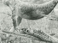 リアルイラスト専攻学部・学科・コース情報