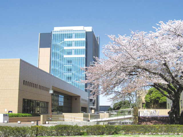 淑徳大学