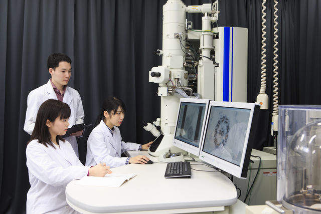 基幹理工学部 生命科学科 「生命」の不思議を解き明かし、持続可能性に貢献する最先端分野。