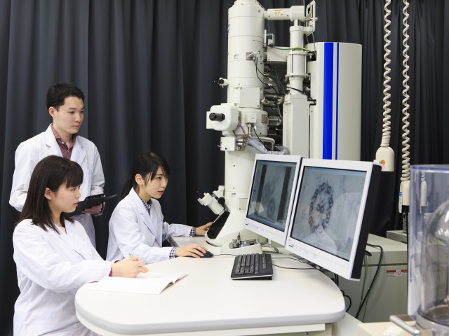 基幹理工学部 生命科学科 「生命」の不思議を解き明かし、持続可能性に貢献する最先端分野。