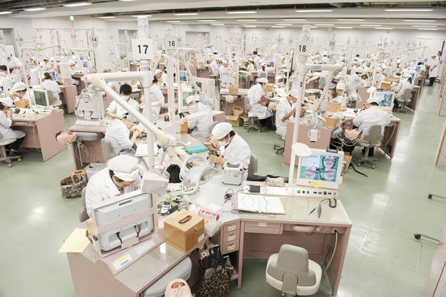 歯学部 歯学部歯学科