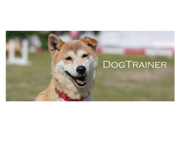 ドッグトレーナー科 ドッグトレーナー科