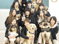 担当犬体験(日常しつけ編)の画像