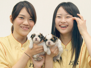 仔犬の性格診断＆健康チェック＆エサやり体験ＳＰの画像