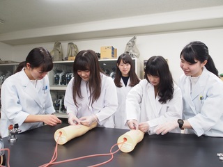 臨床検査技師を目指せる!体験実習つきオープンキャンパス【午後】の画像