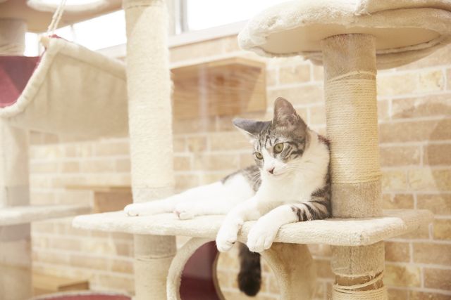 施設・設備のポイント 写真1