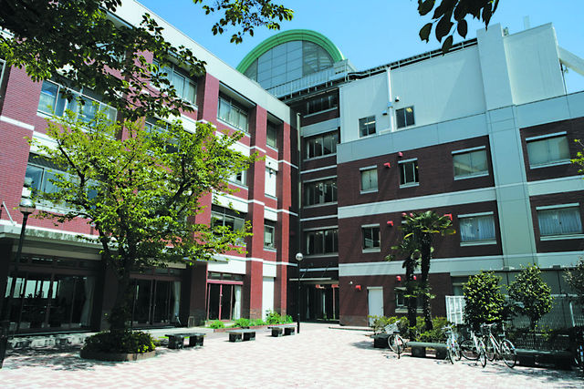 東京聖栄大学