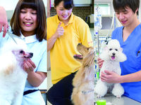 学部・学科・コース情報