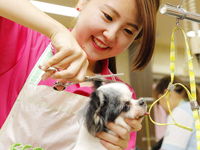 150種の動物たちと出会えるオープンキャンパス!の画像