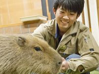注目のカリキュラム