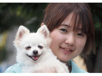担当犬体験(総合基礎編)の画像