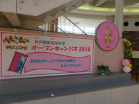 こうふく大で見つける、きみの未来を!(姫路キャンパス)の画像