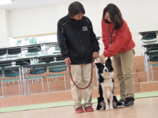 ドッグトレーナーお仕事体験　お利口わんちゃんのつくりかたの画像