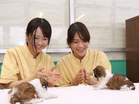 ペットショップのお仕事体験の画像