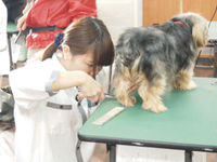 2つのお仕事体験SPの画像