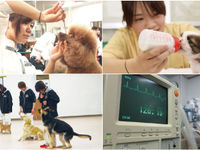 2つのお仕事SP体験の画像
