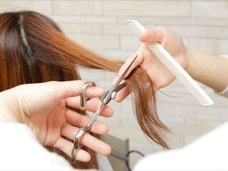 “1コチョイス”Day(カット/ヘアカラー)の画像