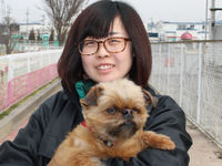 担当犬体験(被毛ケア編)の画像