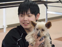 担当犬体験(日常しつけ編)の画像