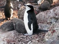 注目のカリキュラム