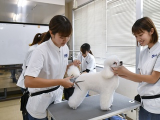 学部・学科・コース情報