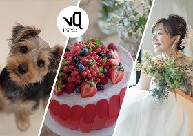 専門学校 福岡ビジョナリーアーツ