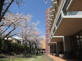 school_main_pic