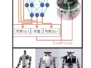 学部・学科・コース情報