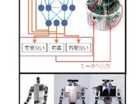学部・学科・コース情報