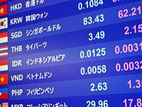 注目のカリキュラム