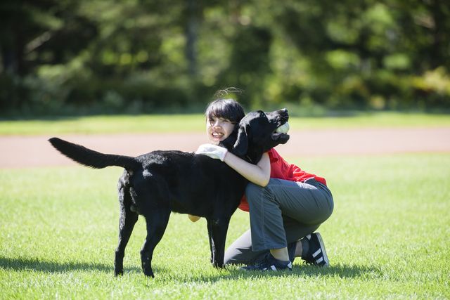 東京愛犬専門学校
