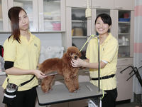 2020年度 学科別体験入学の画像