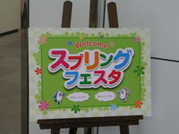 スプリングフェスタの画像