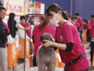 わんにゃんドーム2026　で個別相談会の画像