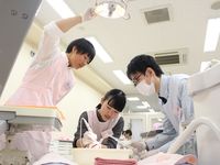 体験授業あり/オープンキャンパス〔歯科衛生士科〕の画像