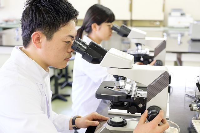 臨床検査技師学科 チーム医療を担う検査のプロを目指す