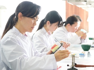 歯科技工士☆学校見学会・ＡＯ入学説明会【校内見学あり】☆の画像