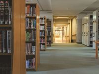 学部・学科・コース情報