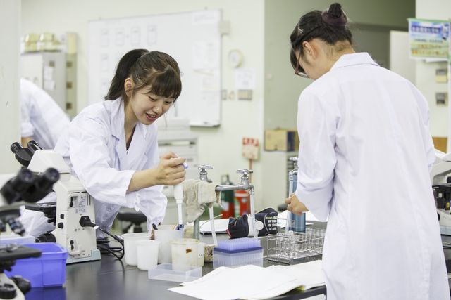 工学部 生命環境化学科 生命環境化学科