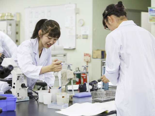 工学部 生命環境化学科 生命環境化学科