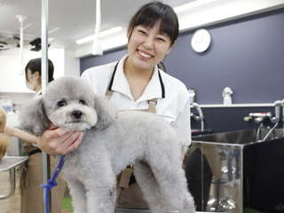 TCA東京ECO動物海洋専門学校オープンキャンパスイメージ画像
