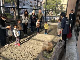 TCA東京ECO動物海洋専門学校オープンキャンパスイメージ画像
