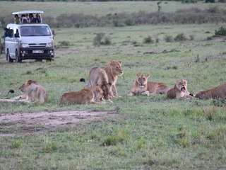 TCA東京ECO動物海洋専門学校オープンキャンパスイメージ画像