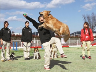 学部・学科・コース情報