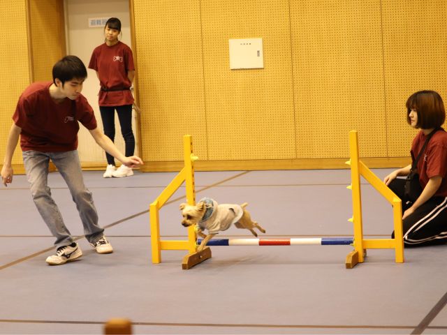 神戸動植物環境専門学校の写真