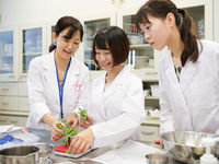 学部・学科・コース情報