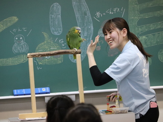 サークル紹介オープンカレッジの画像