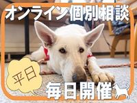 【WEB開催】オンライン個別相談の画像